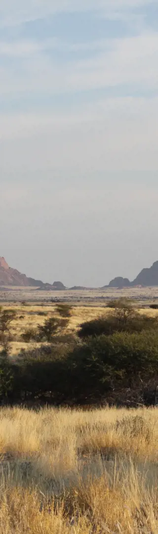 Spitzkoppe